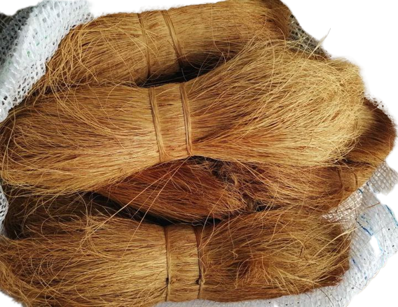 Coco Bristle