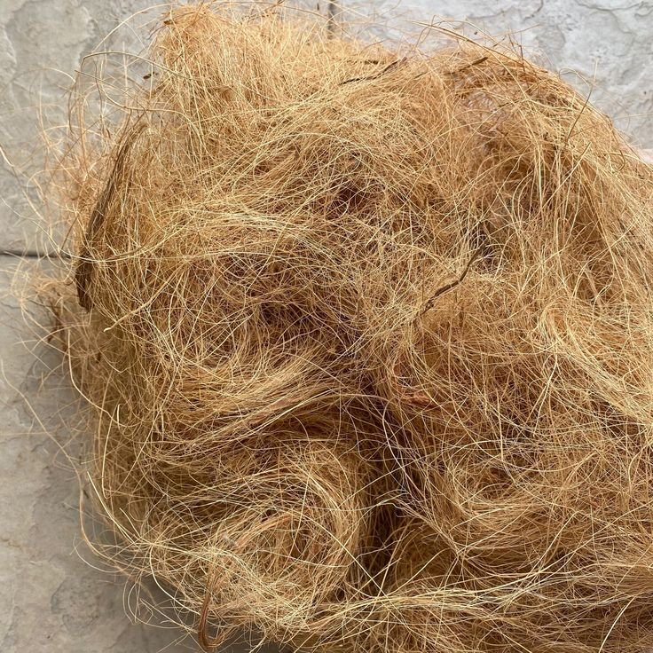 Coconut Coir Fiber